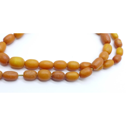 1027 - A string of butterscotch amber beads