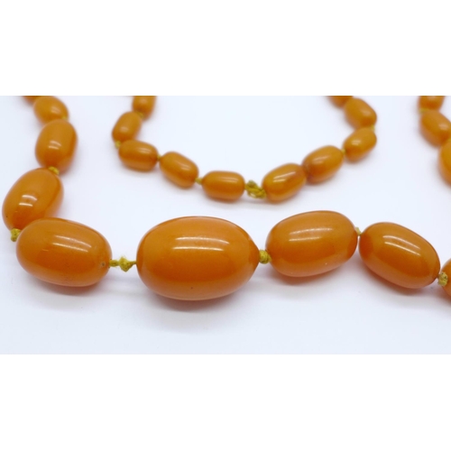 995 - A set of graduated butterscotch amber coloured beads