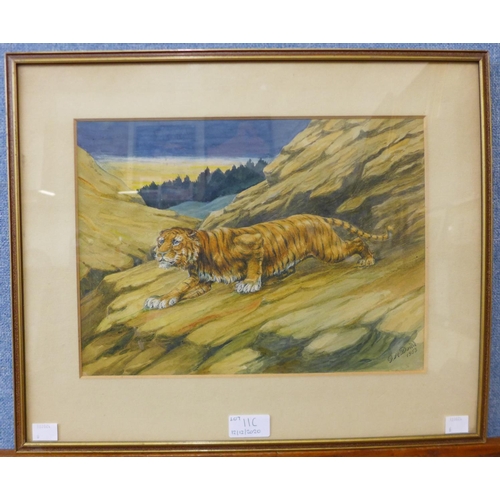 11c - Gilbert Dodd (book illustrator), study of a tiger, watercolour, 24 x 32cms, framed