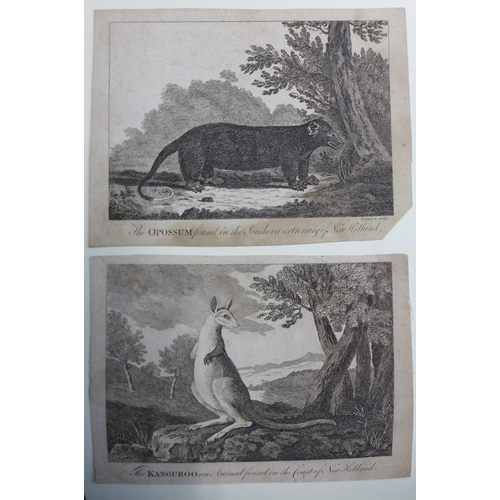 12 - A folio of 18th Century topographical engravings, including costumes, rituals, views, etc., approx 1... 