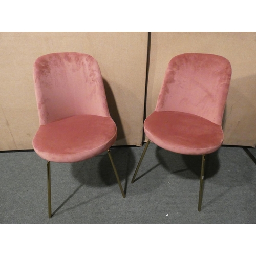 3149 - A pair of salmon/gold velvet chairs * this lot is subject to VAT