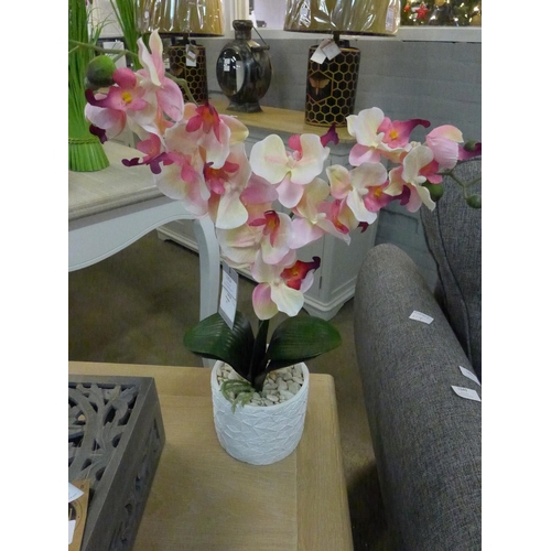 1352 - An artificial double pink and cream orchid in a ceramic pot (56612906)  #