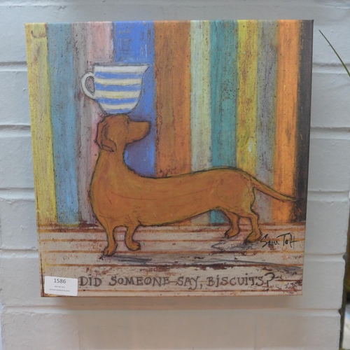 1586 - A Sam Toft canvas print, Did Someone Say Biscuits, 30 x 30 (WDC9172007)   #