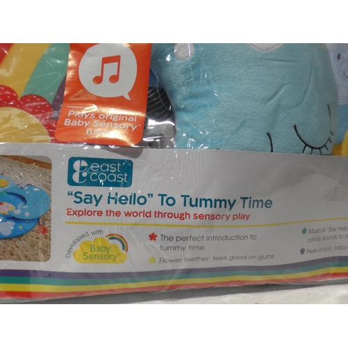 3501 - An East Coast musical Tummy Time mat