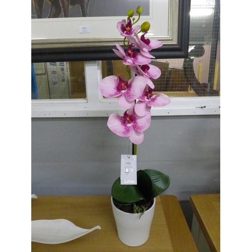 1414 - A single orchid in a white pot (53137907)   #