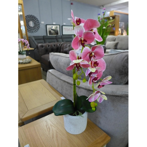 1415 - A double orchid arrangement, 61cms (54041412)   #