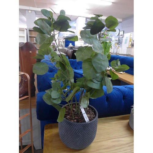 1478 - An artificial potted apple leaf plant (50244819)   #