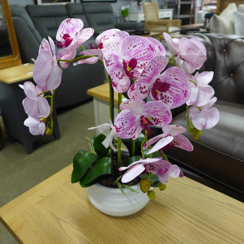 1503 - A triple orchid arrangement in a white bowl, 45cms (52641317)   #