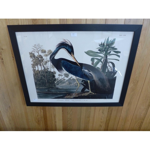 1521 - A John James Audubon framed print (Louisiana Heron), 60 x 80 (PFPPR51395H42)   #