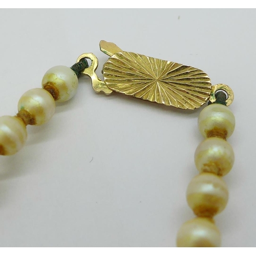 1172 - A faux pearl necklace with 9ct gold clasp