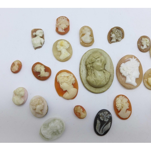 1212 - Twenty-seven unmounted cameos including hardstone and coral, eight a/f