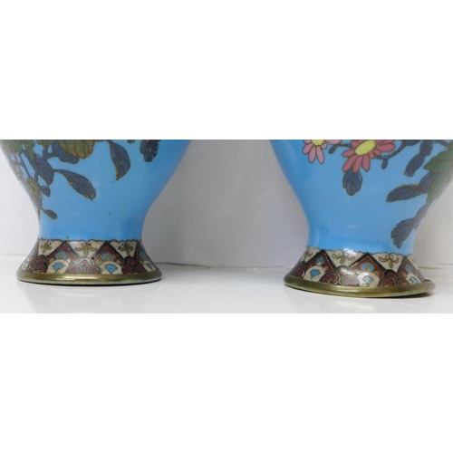 619 - A pair of Japanese cloisonne vases, decorated with cranes and flowers on a sky blue ground, Meiji pe... 