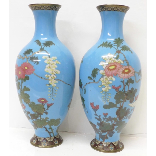 619 - A pair of Japanese cloisonne vases, decorated with cranes and flowers on a sky blue ground, Meiji pe... 