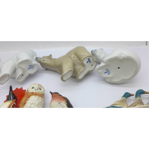 673 - Three Lladro polar bears, a Lladro dealers' plaque and five Beswick bird figures, three birds a/f