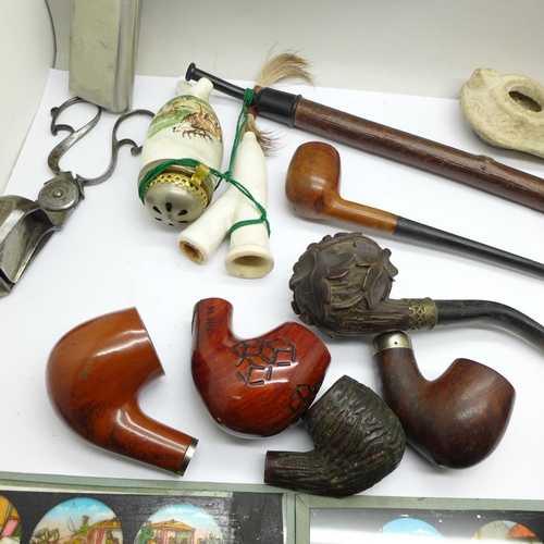 796 - Assorted items; pipes, small flask, cast metal bull, 19th Century candle snuff, glass slides, etc.