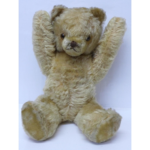 831 - A large Schuco Teddy bear, circa 1930's, straw filled with jointed limbs, glass eyes and tail, 50cm