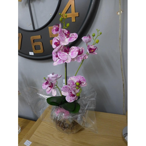 1482 - A speckled pink orchid arrangement, 58cms (52641014)   #