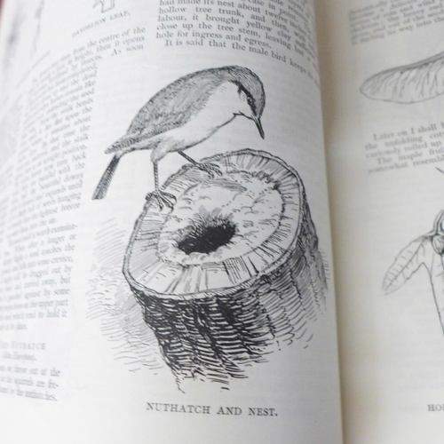 733 - A collection of antiquarian books, The Birds of the British Isles and Their Eggs, The Strand Magazin... 