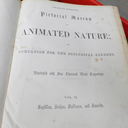 733 - A collection of antiquarian books, The Birds of the British Isles and Their Eggs, The Strand Magazin... 