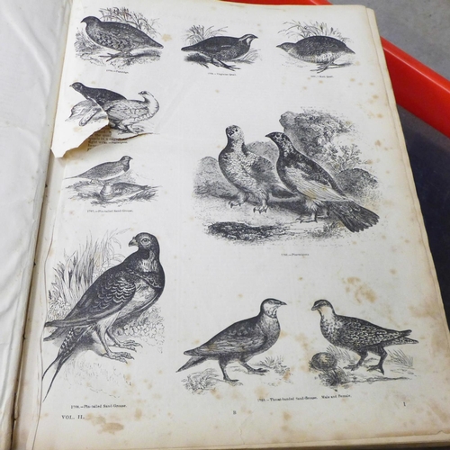 733 - A collection of antiquarian books, The Birds of the British Isles and Their Eggs, The Strand Magazin... 