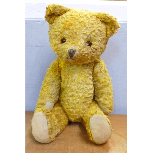 779 - A straw filled jointed Teddy bear in orange plush, material pads with glass eyes, 14½