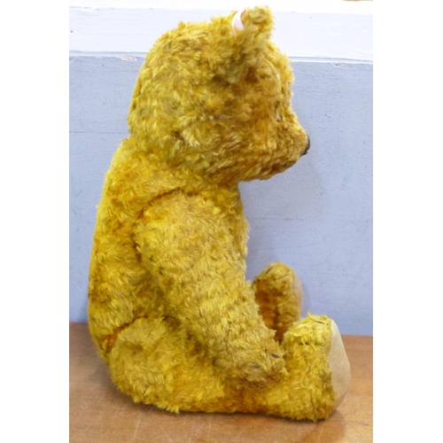 779 - A straw filled jointed Teddy bear in orange plush, material pads with glass eyes, 14½