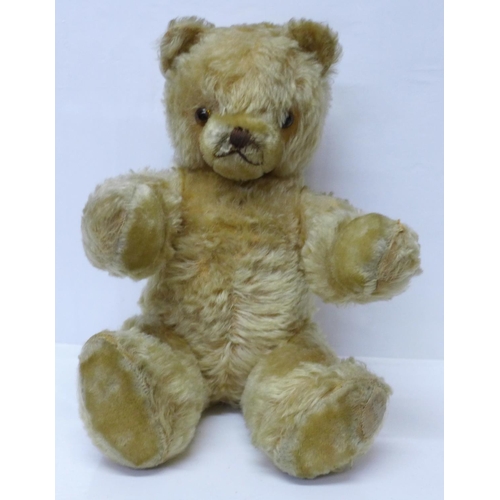 831 - A large Schuco Teddy bear, circa 1930's, straw filled with jointed limbs, glass eyes and tail, 50cm