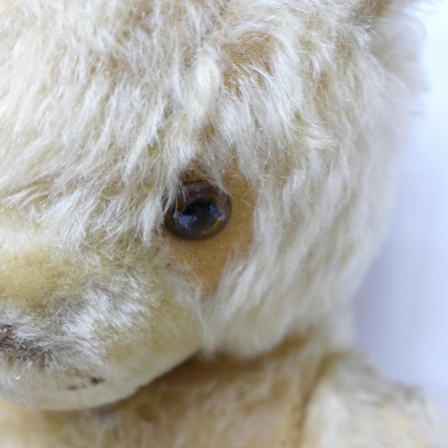 831 - A large Schuco Teddy bear, circa 1930's, straw filled with jointed limbs, glass eyes and tail, 50cm