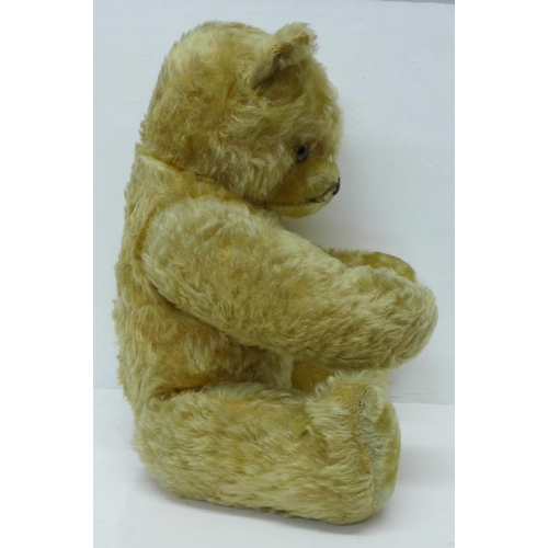 831 - A large Schuco Teddy bear, circa 1930's, straw filled with jointed limbs, glass eyes and tail, 50cm