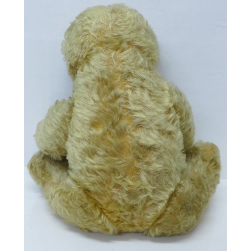 831 - A large Schuco Teddy bear, circa 1930's, straw filled with jointed limbs, glass eyes and tail, 50cm