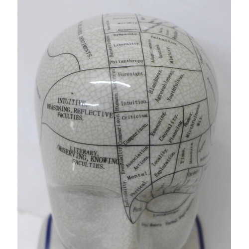 834 - A reproduction phrenology head