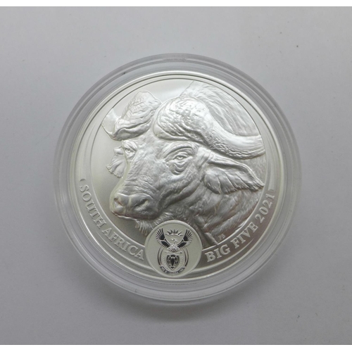 884 - A 1oz South African Mint The Big 5 coin, Buffalo 2021, .999 silver, cased