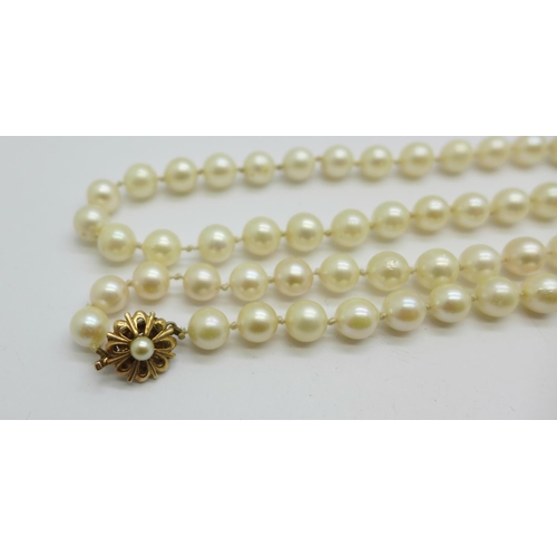 963 - Cultured pearls with a 9ct gold clasp