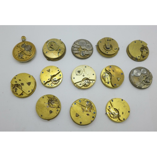 973 - Thirteen pocket watch movements