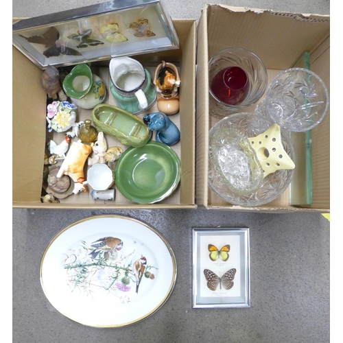 Lot 1205      