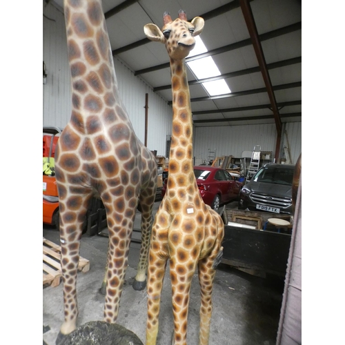 3232 - A fibreglass baby giraffe (approx. 7' 8
