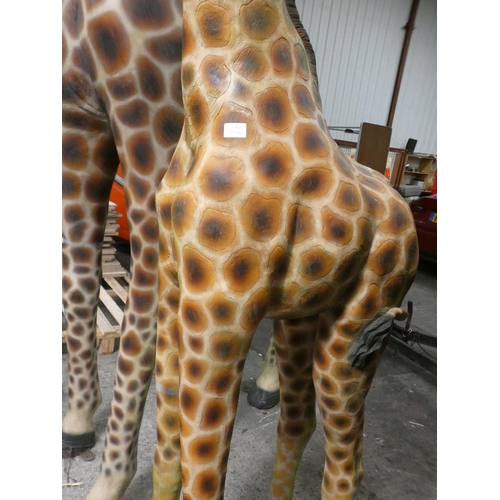 3232 - A fibreglass baby giraffe (approx. 7' 8