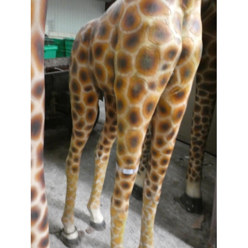 3232 - A fibreglass baby giraffe (approx. 7' 8