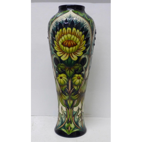 607 - A Moorcroft vase, Dent De Lion, base marked 'design trial' 37cm