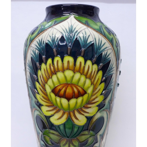 607 - A Moorcroft vase, Dent De Lion, base marked 'design trial' 37cm