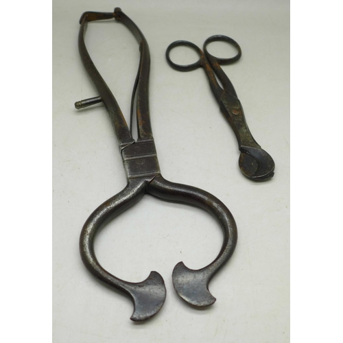 629 - A pair of 19th Century sugar snips and one other smaller pair of cutters