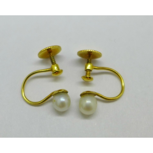 995 - A pair of yellow metal and pearl earrings with screw backs, with box, 1.5g