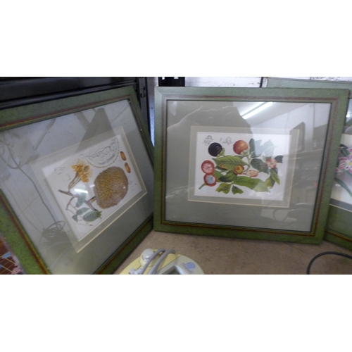 2134 - 4 Botanical Flower prints in green frames, approx 10