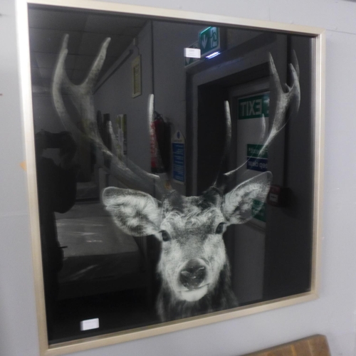 1502 - A dark stag glass image in a silver frame (1882044)   #