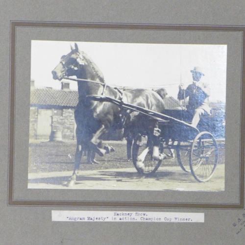 682 - A collection of Victorian and Edwardian photographs, family and group shots and one of the Hackney S... 