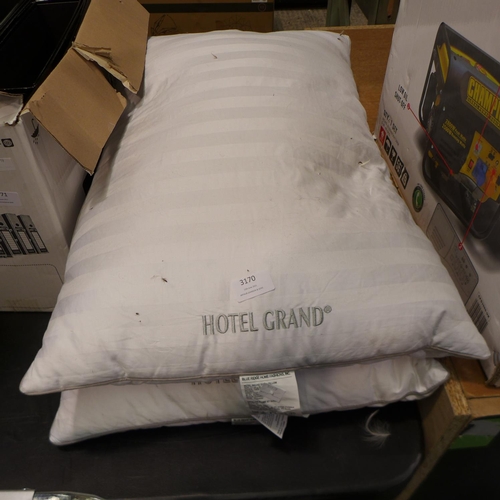 Lot 3170      