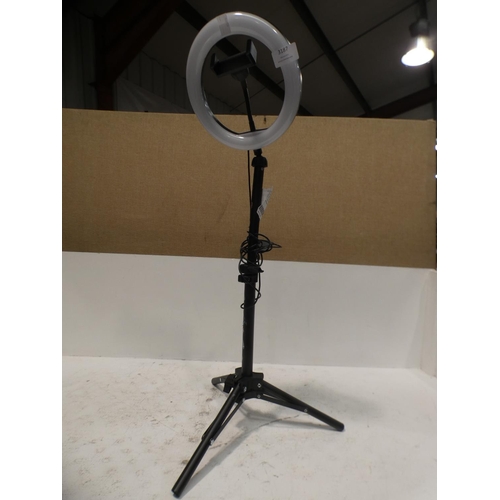 Lot 3187      