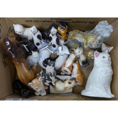 1081 - A collection of cat figures including a money box, salt and pepper shakers, resin figure etc., inclu... 