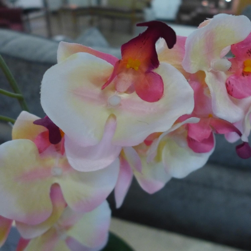 1319 - An artificial double pink and cream orchid in a ceramic pot (56612906)  #