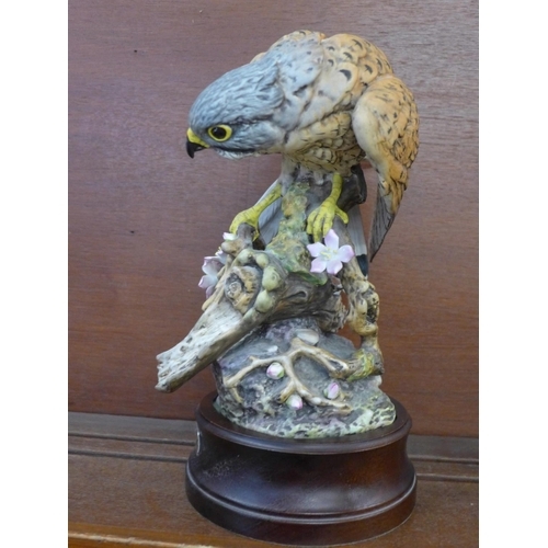 620 - A Royal Doulton limited edition model of a Kestrel, number 10 of 950, (DA144), two flowers broken an... 